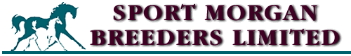Sport Morgan Breeders:  Site Awards
