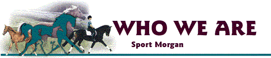 Who We Are