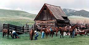Radtke Ranch